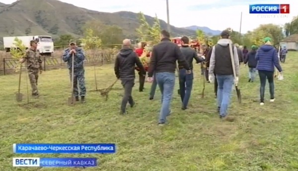 Сад в память о защитниках перевалов Кавказа высадили в Карачаево-Черкесии