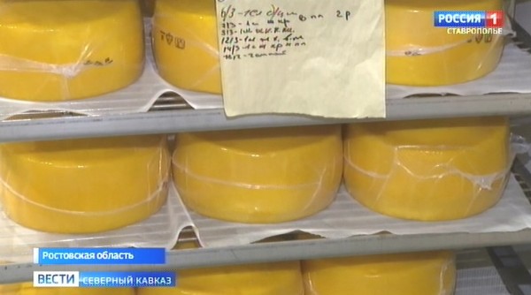 Ростовская область обеспечит сырами местного потребителя и соседние регионы