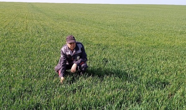 На сельхозпредприятиях в Арзгирском районе проводят обработку полей