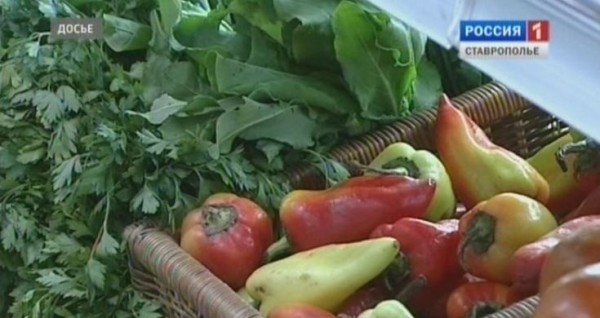 Глава Ставрополья потребовал не допустить роста на овощи и фрукты