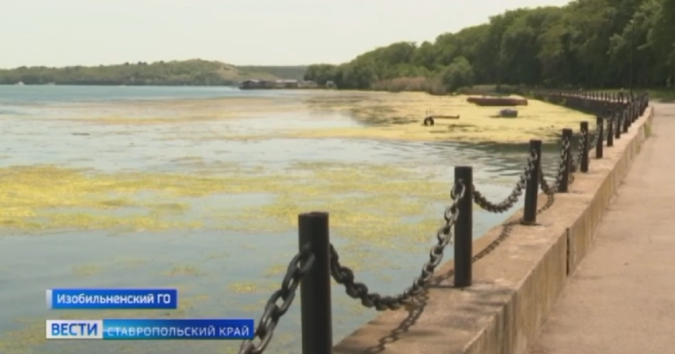 Какие тайны в себе хранит Новотроицкое водохранилище на Ставрополье