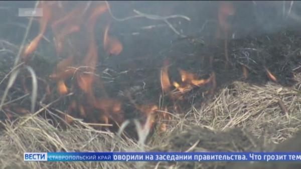 На Ставрополье ужесточают противопожарные меры
