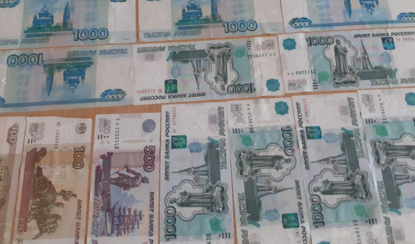 На Ставрополье сиделка украла у пенсионера 200 тысяч рублей