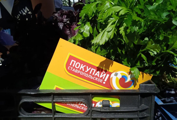 Жителей Ставрополя в эти выходные порадуют широким ассортиментом ягод