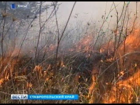 Возгорание под Пятигорском тушат несколько дней