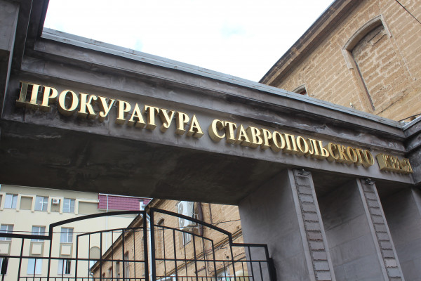 На Ставрополье возбудили уголовное дело по факту смертельного ДТП с участием животного