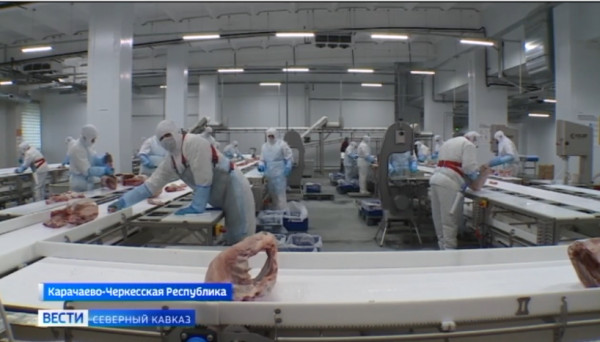 В Карачаево-Черкесии открыли крупнейший в стране завод по переработке баранины