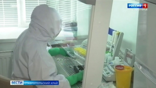 В России выявлены еще два новых варианта коронавируса