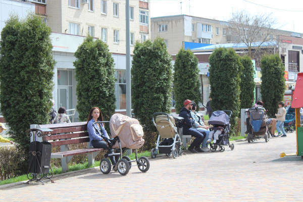 В Ставрополе семьям мобилизованных продолжают оказывать помощь
