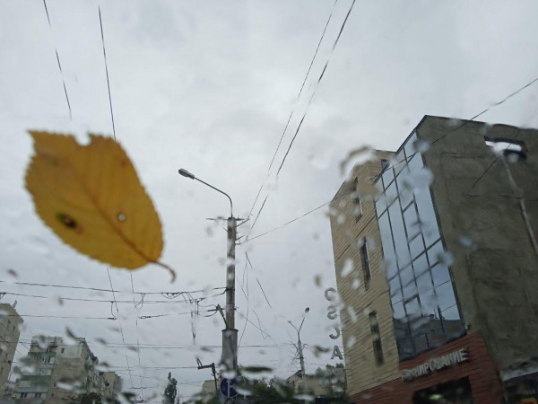 Прогноз погоды на Ставрополье: дожди и туман