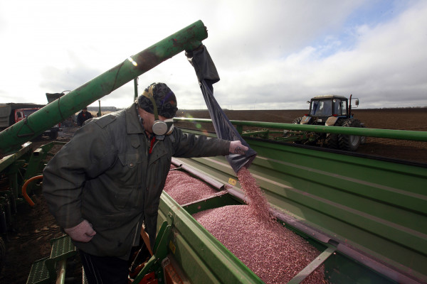 Экспорт сельхозпродукции Ставропольского края вырос на треть