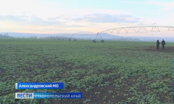 Что делают ставропольские аграрии для урожая будущего года