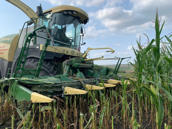 В Предгорном округе Ставрополья продолжается уборка кукурузы