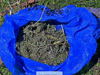 У жителя Железноводска изъяли 400 граммов марихуаны