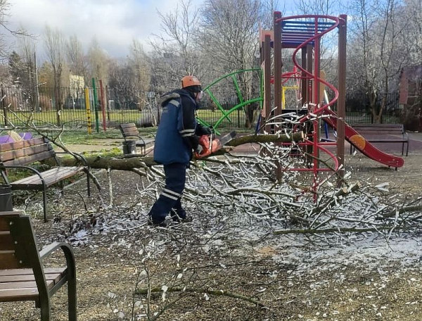 В Ставрополе штормовой ветер поломал деревья и повалил светофор