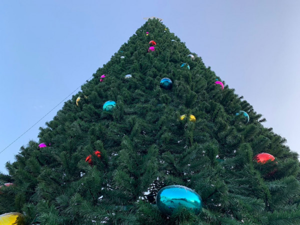 Два десятка новогодних елок установят в Предгорном округе Ставрополья