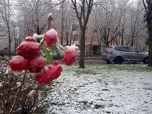 Погода в выходные не порадует жителей и гостей Ставрополья