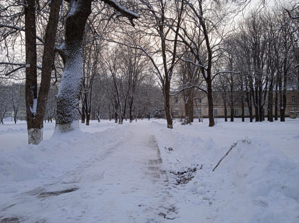 Мокрый снег и туман прогнозируют синоптики 19 декабря на Ставрополье