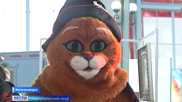На Ставрополье для курортных котов устроили Замурчательную елку