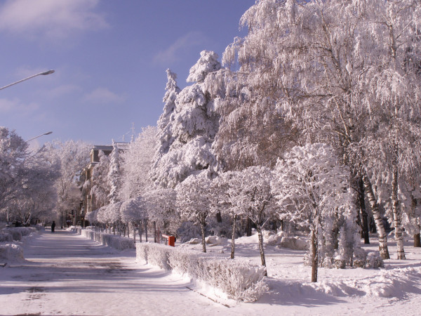 Суровые морозы и порывистый ветер прогнозируют на Ставрополье