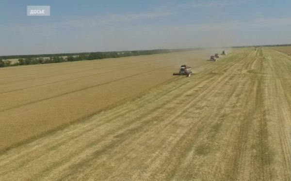 Ставропольский край увеличил экспорт зерна на Восток