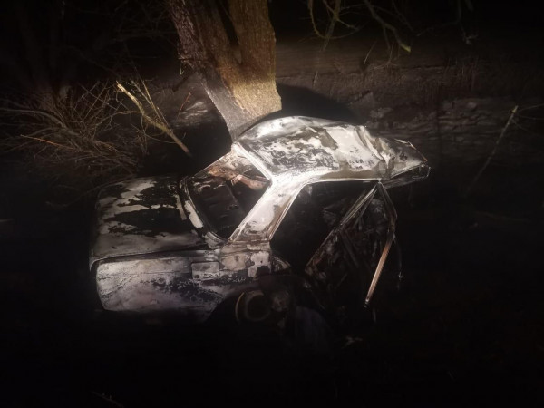 На Ставрополье водитель врезался в дерево и его автомобиль загорелся