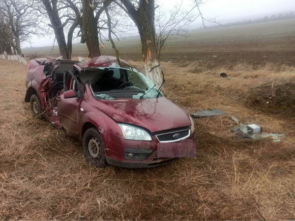 На Ставрополье лихой водитель-женщина переломала себе ребра, врезавшись в дерево