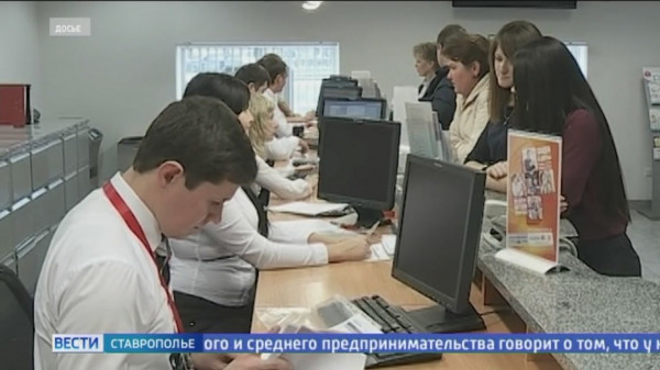 Число предпринимателей и самозанятых на Ставрополье увеличилось в 5 раз