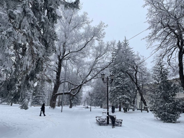 Температура воздуха на Ставрополье днем 16 февраля опустится до -7 градусов