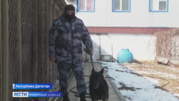 Росгвардеец из Дагестана и его собака прославились на всю Россию