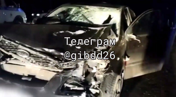 На Ставрополье водитель насмерть сбил пешехода, который внезапно выбежал на дорогу