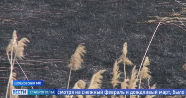 Пожароопасный сезон еще не начался, а на Ставрополье произошло более 300 ландшафтных пожаров