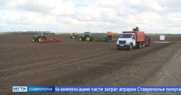 На компенсацию части затрат аграрии Ставрополья получат 460 миллионов рублей