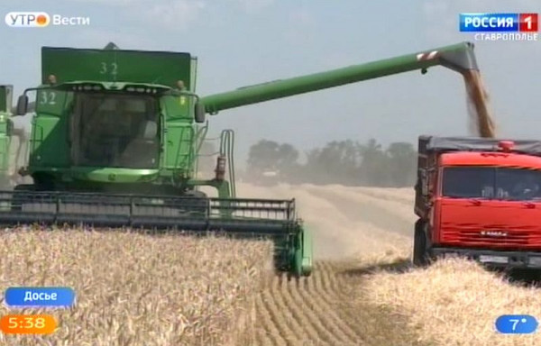 Ставрополье наращивает экспорт пшеницы