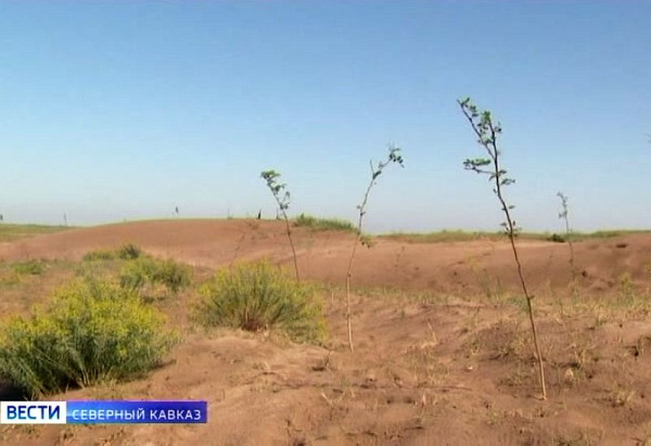 Северному Кавказу угрожает опустынивание земель