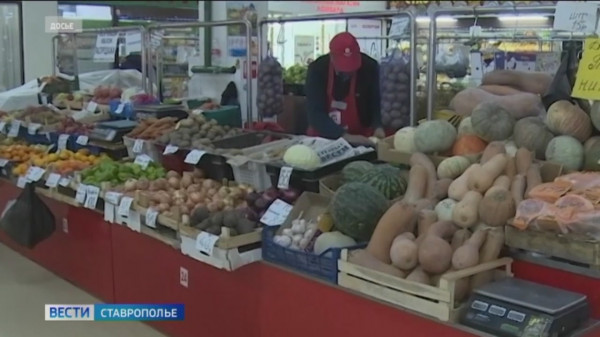 На Ставрополье резко выросли цены на капусту и репчатый лук