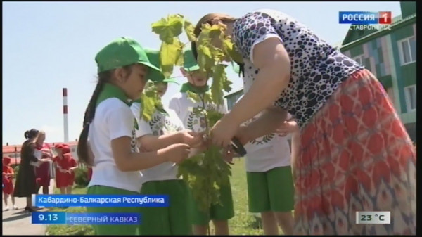 В Кабардино-Балкарии в акции «Сад памяти» участвуют и детсадовцы