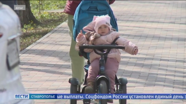 В 2023 году материнский капитал получили 4800 жителей Ставрополья