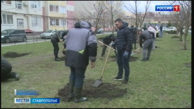 Новости | Вечерний Ставрополь