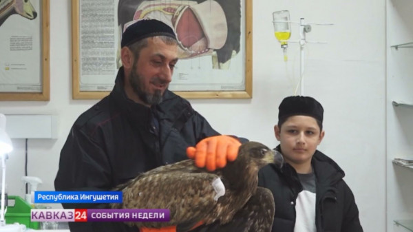 Житель Ингушетии спас раненого орла