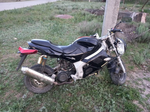 На Ставрополье 17-летний мотоциклист серьезно пострадал при столкновении с животным на дороге